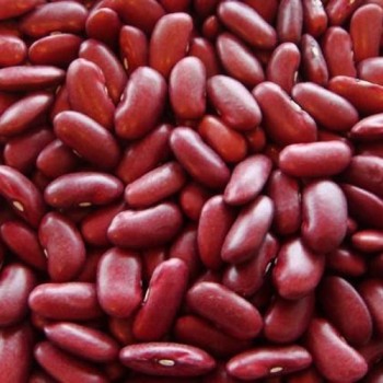 Rajma Red Kidney Beans (केलाएको)_500g