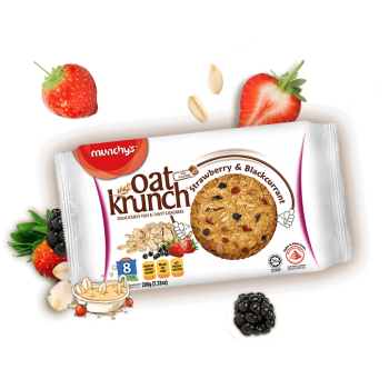Munchy's Oats Krunch Nutty Chocolate Biscuit