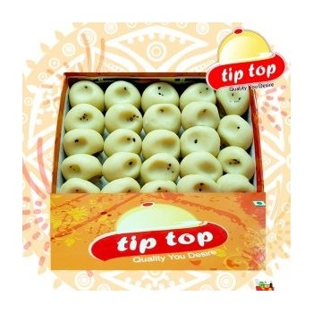 Tip top Peda